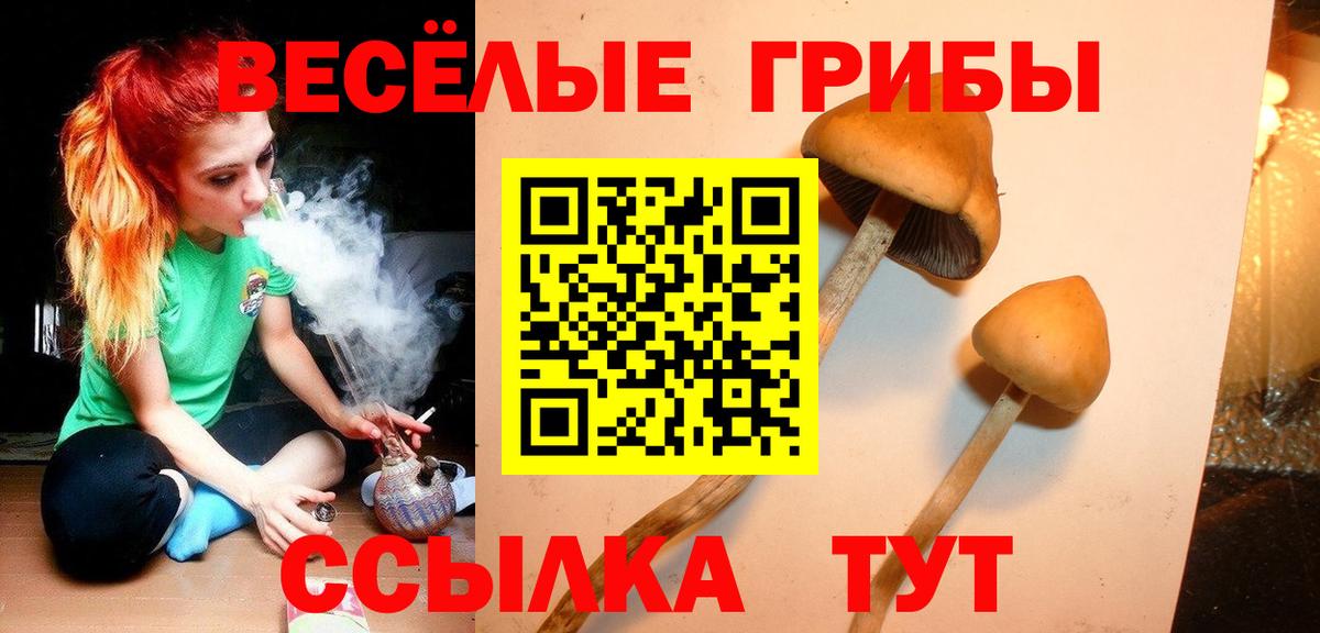 Псилоцибиновые грибы Magic Shrooms  Вход с VPN  Казань  Псилоцибиновые грибы Psilocybe 