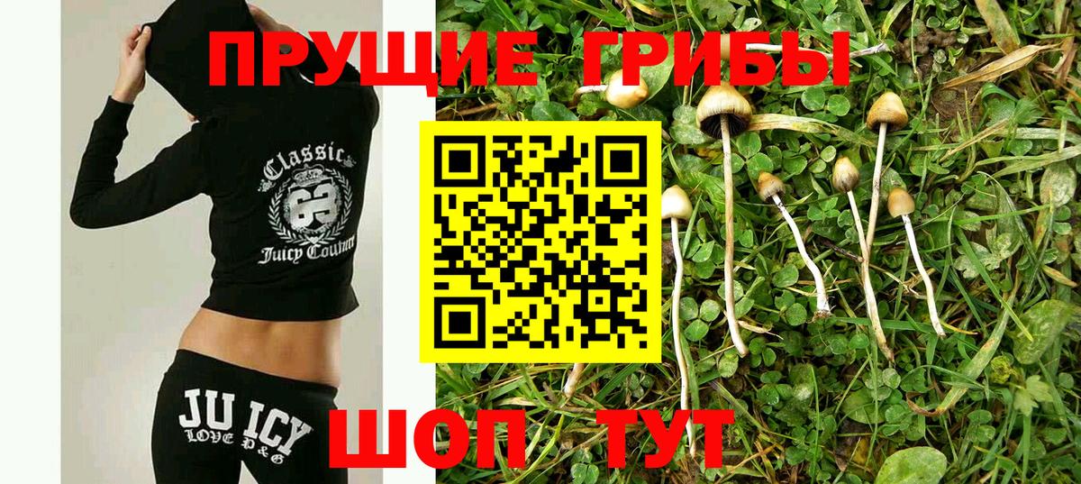 Галлюциногенные грибы мухоморы Казань